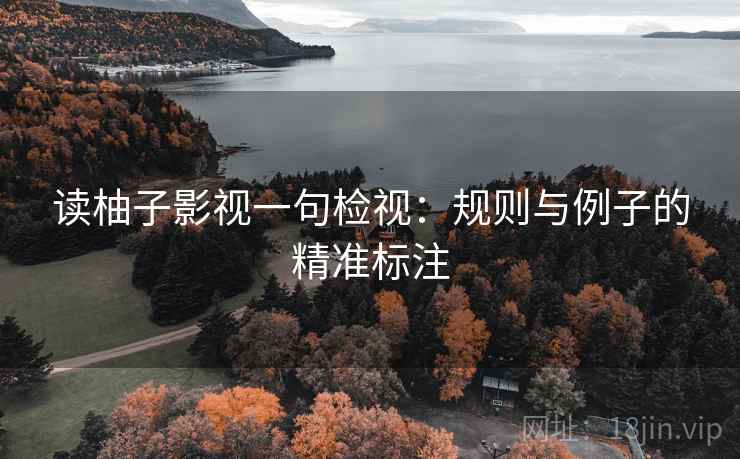 读柚子影视一句检视:规则与例子的精准标注 读柚子影视一句检视:规则与例子的精准标注