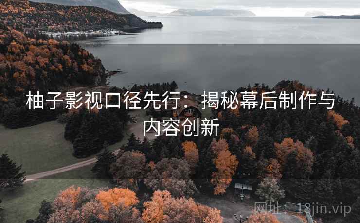 柚子影视口径先行：揭秘幕后制作与内容创新